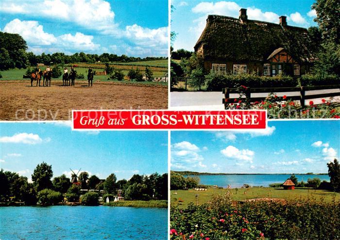 Gross Wittensee Reitstall Reitplatz Reetdachhaus Panorama Wittensee Naturpark Hu