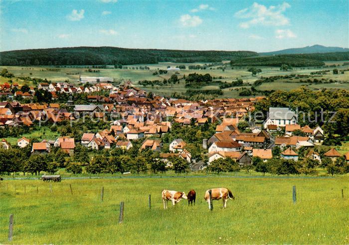 Gedern Panorama Luftkurort Viehweide Kuehe