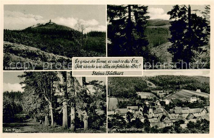 Steina Suedharz Ravensberg Steinatal Am Plan Blick vom Muehlberg