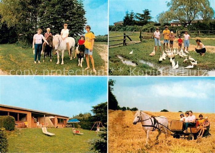 Wessenstedt Heerweghof Ferienhaeuser Ponyreiten Ponykutsche Entenfuetterung
