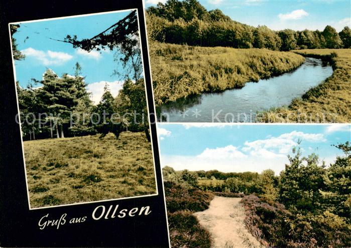 Ollsen Heidelandschaften