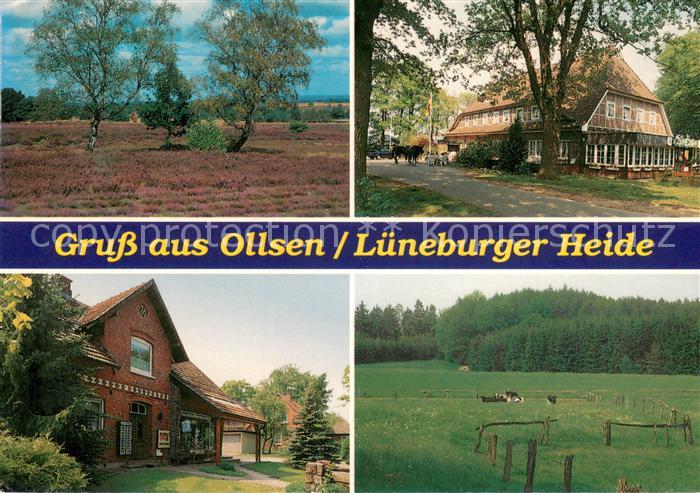 Ollsen Heidelandschaften Gasthaeuser