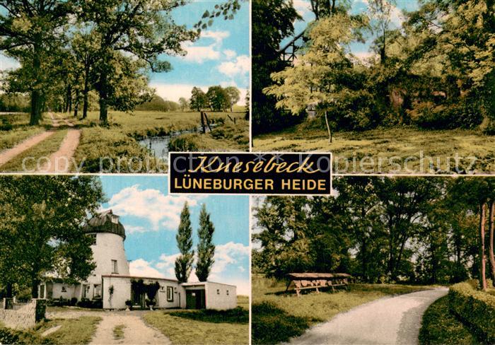 Knesebeck Eichenweg Burgruine Elstermuehle Waldlehrpfad