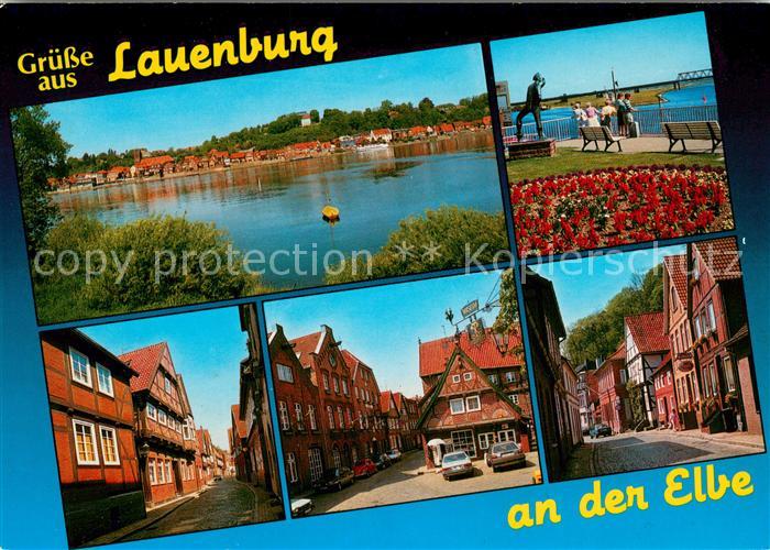 Lauenburg Elbe Panorama Der Rufer Ortsmotive