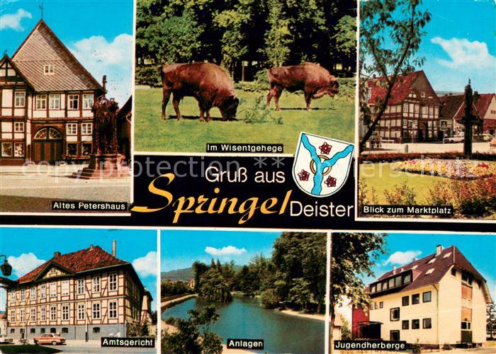 Springe Deister Altes Petershaus Im Wisentgehege Marktplatz Amtsgericht Anlagen
