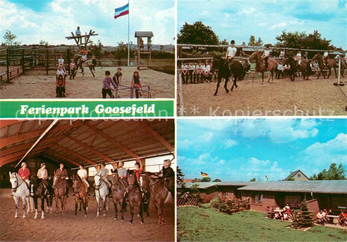 Goosefeld Ferienpark Goosefeld Reithalle Reiterhalle
