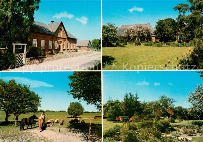 Vogelsang Bungsberg Bauernhof Pferde Park