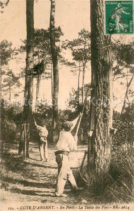 Waldarbeit Cote d`Argent