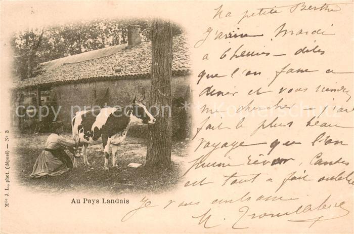 Tiere Melcken J.L.foto
