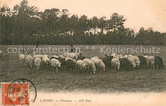 Landwirtschaft Sch?fer ND