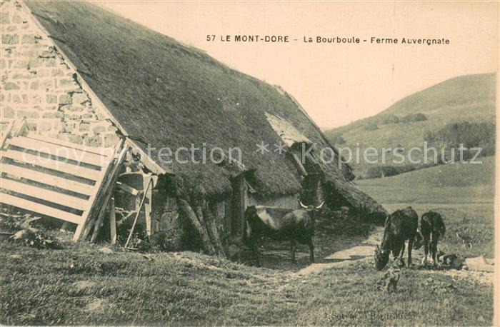 Bauernhof Le Mont Dore La Bourboule