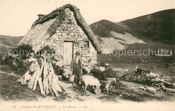 Schaeferei Landwirtschaft Types D auvergne