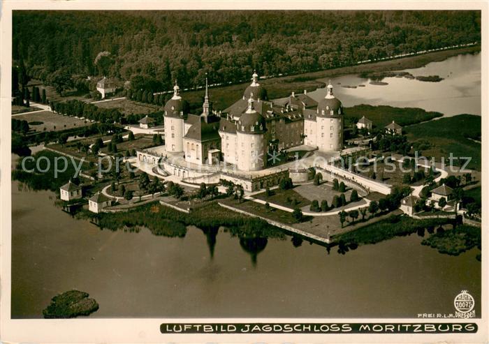 Foto Hahn Nr. 10075 Jagdschloss Moritzburg
