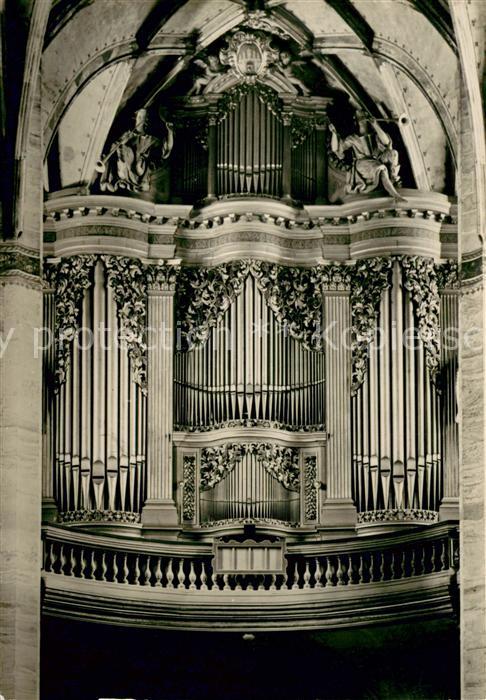 Freiberg Sachsen Dom mit Silbermannorgel