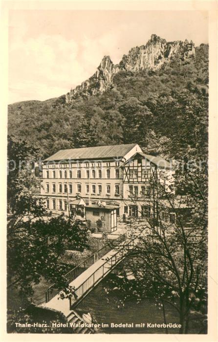Thale Harz Hotel Waldkaefer im Bodetal mit Katerbruecke