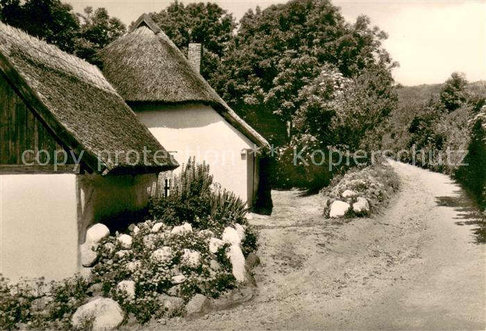 Vitt Ruegen Reetdachhaeuser