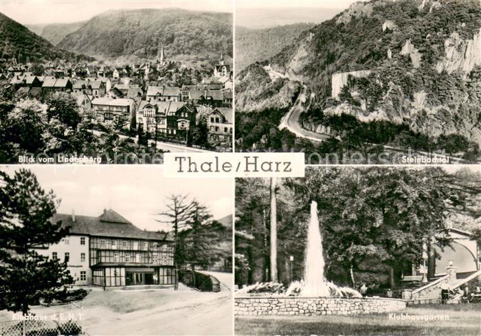Thale Harz Panorama Blick vom Lindenberg Steinbachtal Klubhaus Garten Fontaene