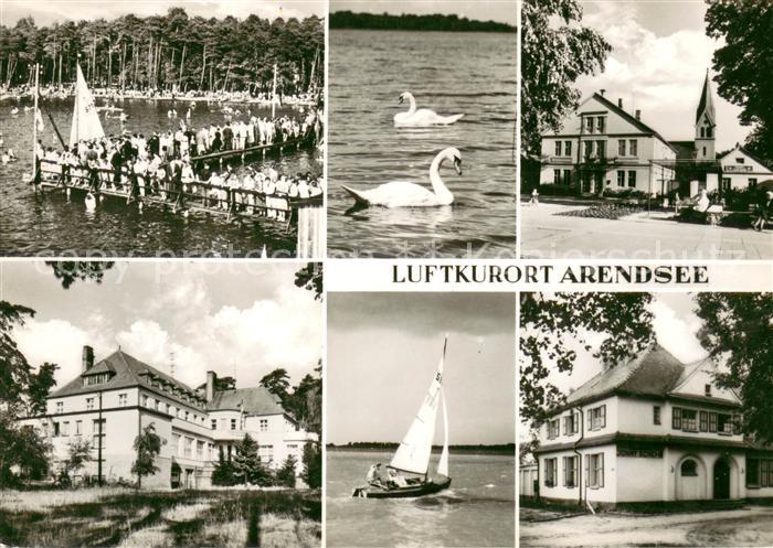 Arendsee Altmark Teilansicht Luftkurort am Arendsee Schwaene