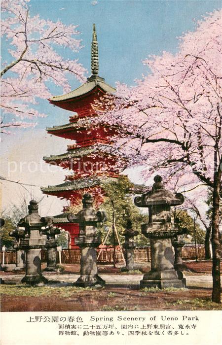 Tokyo Spring Scenery of Ueno Park