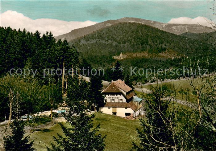 Neuenweg Gasthaus Pension Haldenhof im Schwarzwald