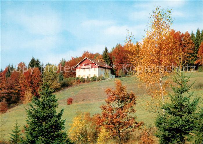 Kelheim Naturfreundehaus Hammertal Herbststimmung