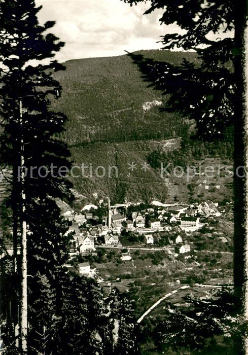 Bermersbach Forbach Panorama