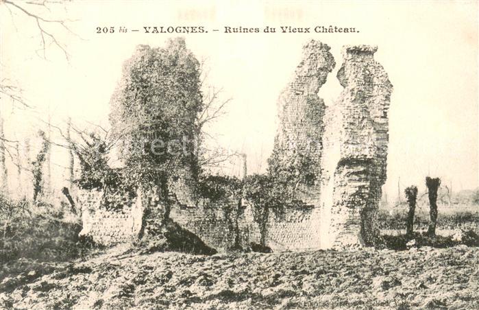 Valognes Ruines du vieux Chateau