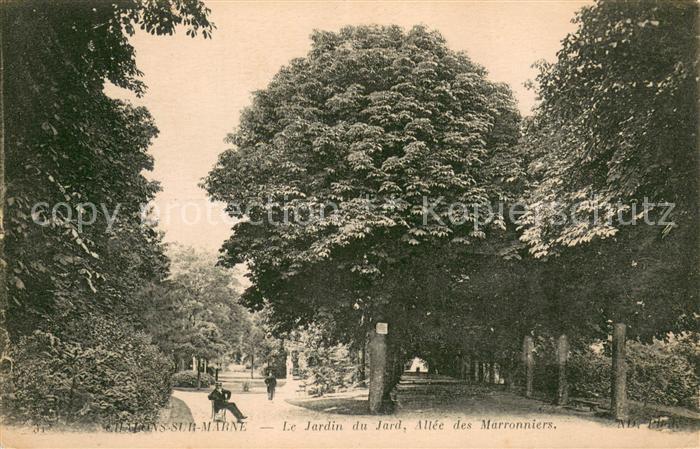 Chalons-sur-Marne Jardin du Jard Allée des Marronniers