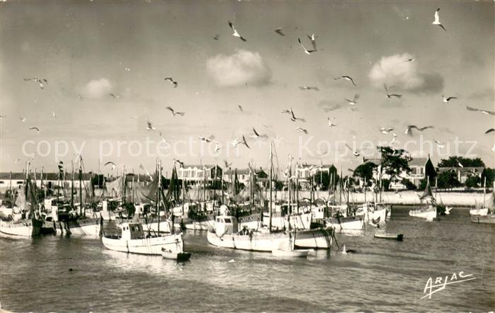 La Cotiniere Vol de Mouettes sur le port