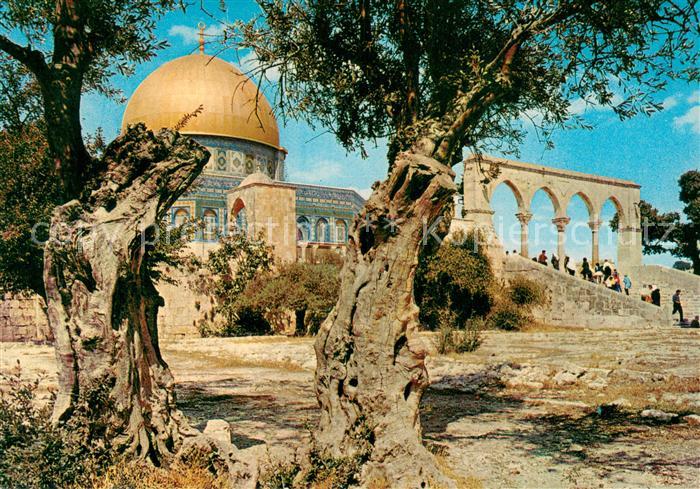 Jerusalem Yerushalayim Dome of the Rock Mosque of Omar