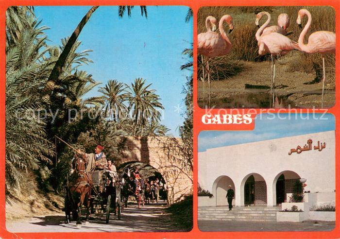 Gabes Hôtel Chems Pferdekutschen Flamingos
