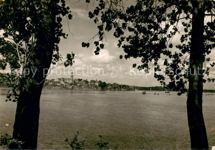 Ingrandes Maine-et-Loire Sa Loire son pont vus de l Ile Meslet