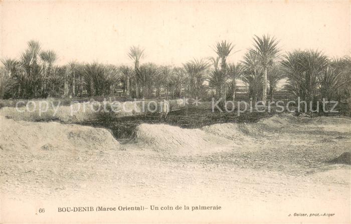 Bou Denib Un coin de la palmeraie