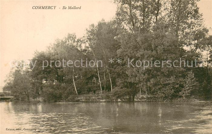 Commercy Meuse 55 Ile Mallard