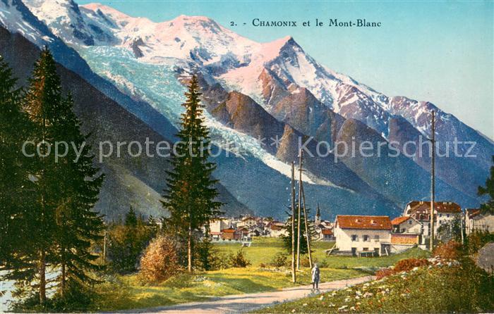 Chamonix Vue Generale et le Mont Blanc