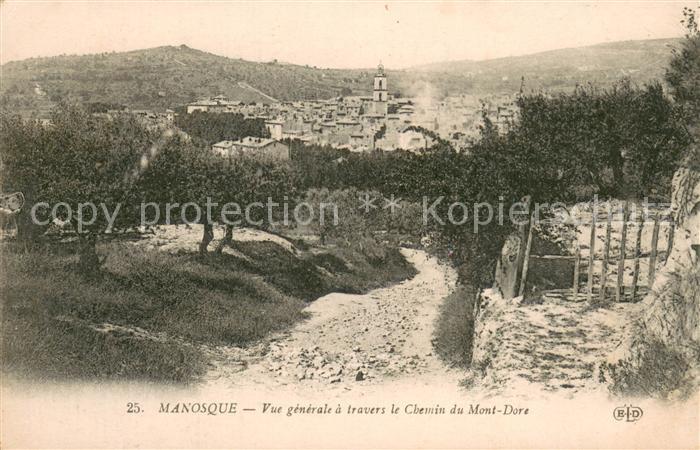 Manosque Vue Generale a travers le chemin du Mont Dore