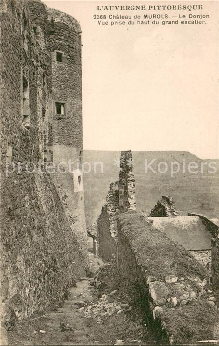 Murols Chateau de Murols Le Donjon Vue prise du haut du grand escalier