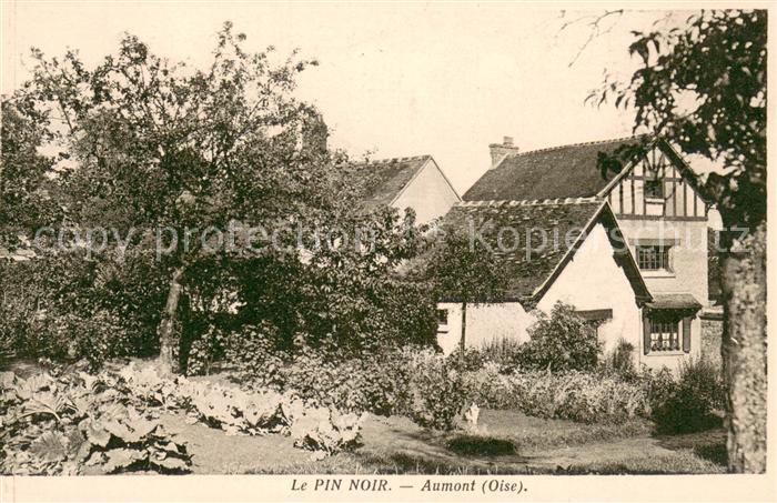 Aumont-en-Halatte Le Pin Noir