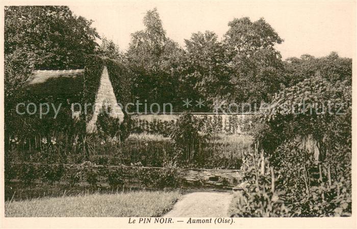 Aumont-en-Halatte Le Pin Noir
