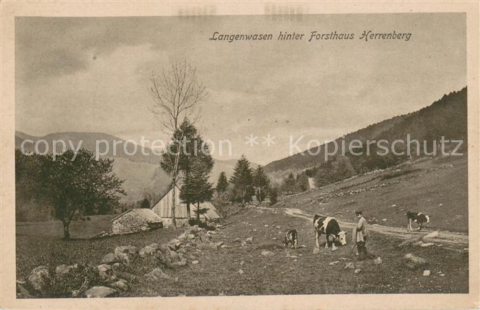 Mittlach Langenwasen hinter Forsthaus Herrenberg