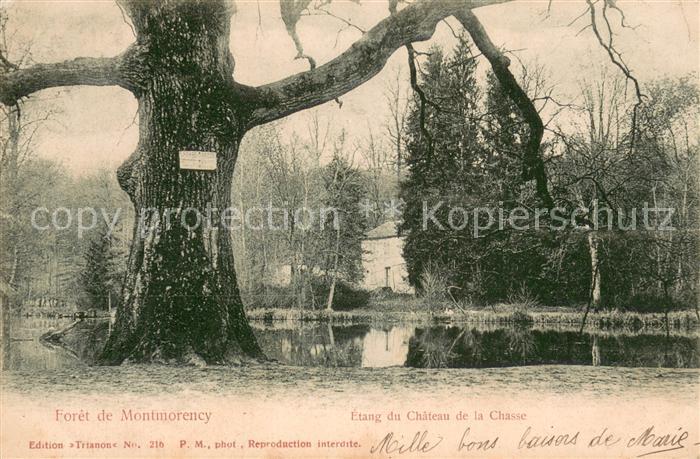 Montmorency Foret de Montmorency Etang du Chateau de la Chasse