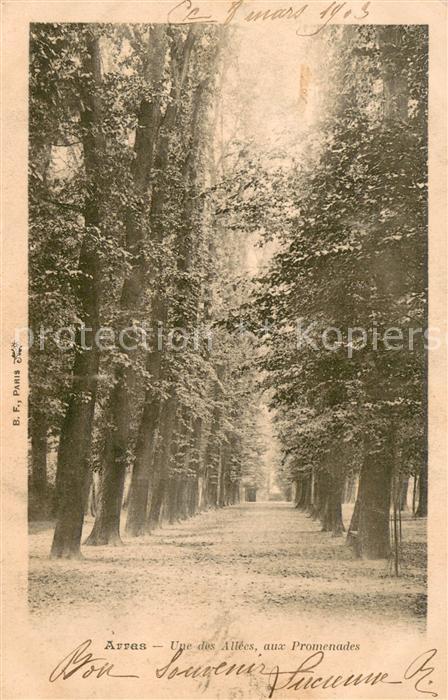Arras Pas-de-Calais 62 Une des Allees aux Promenades