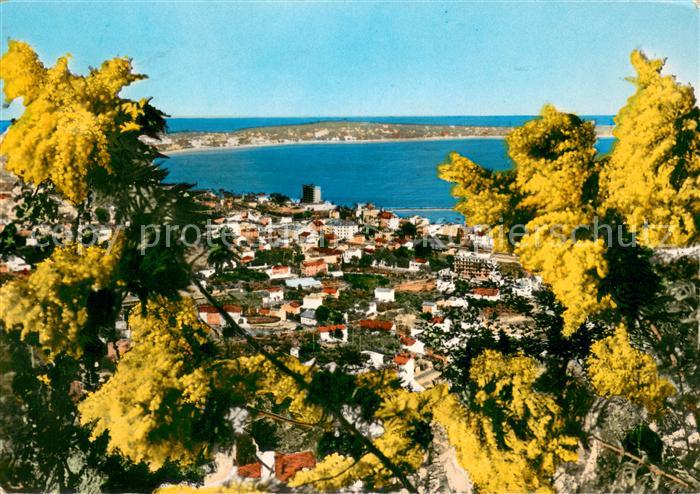 Golfe-Juan Vallauris 06 Alpes-Maritimes Vue Generale Côte d Azur