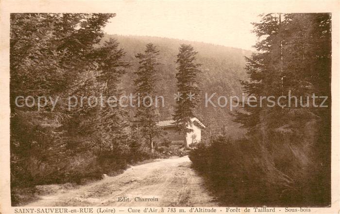 Saint-Sauveur-en-Rue Forêt de Taillard sous bois
