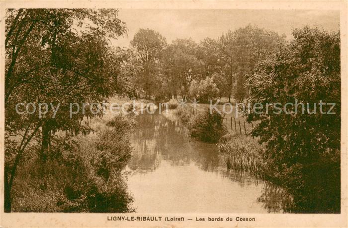 Ligny-le-Ribault Les bords du Cosson