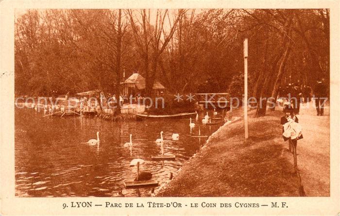 Lyon France Parc de la Tête d Or Coin des cygnes