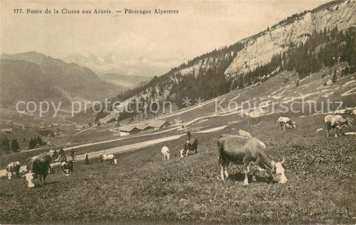 La Clusaz Route de la Clusaz aux Aravis Pâturages