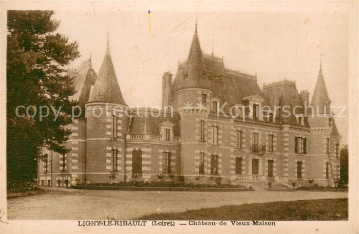 Ligny-le-Ribault Chateau de Vieux Maison