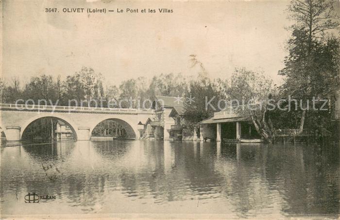 Olivet Loiret Le pont et les villas