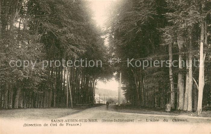 Saint-Aubin-sur-Mer Seine-Maritime Allee du Chateau